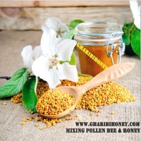 pollen bee+ honey
